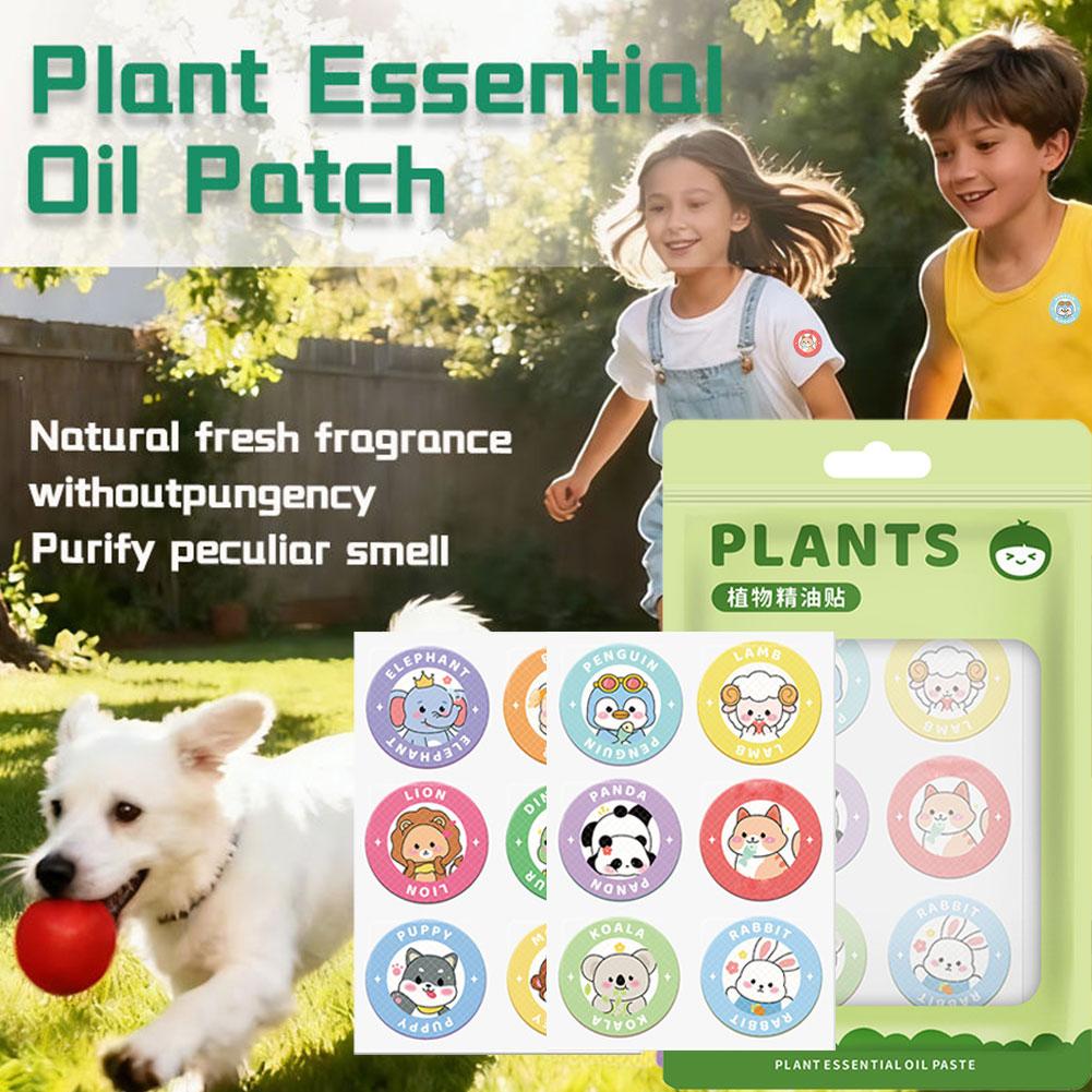Natural Citronella Mugwort Mos - огляд і ціна Outdoor Camping For Kids